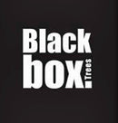 Black Box Kunstkerstboom – 155 cm
